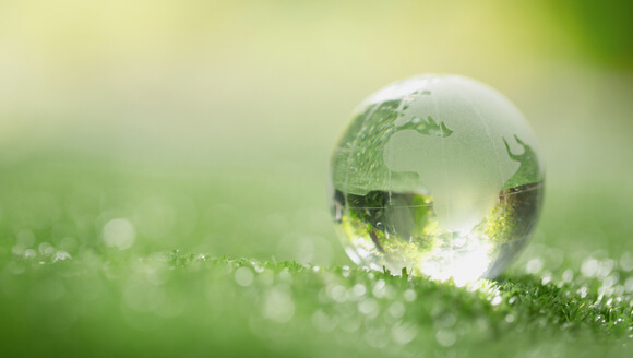 Week van de Duurzaamheid centraal bij de Beroepscampus